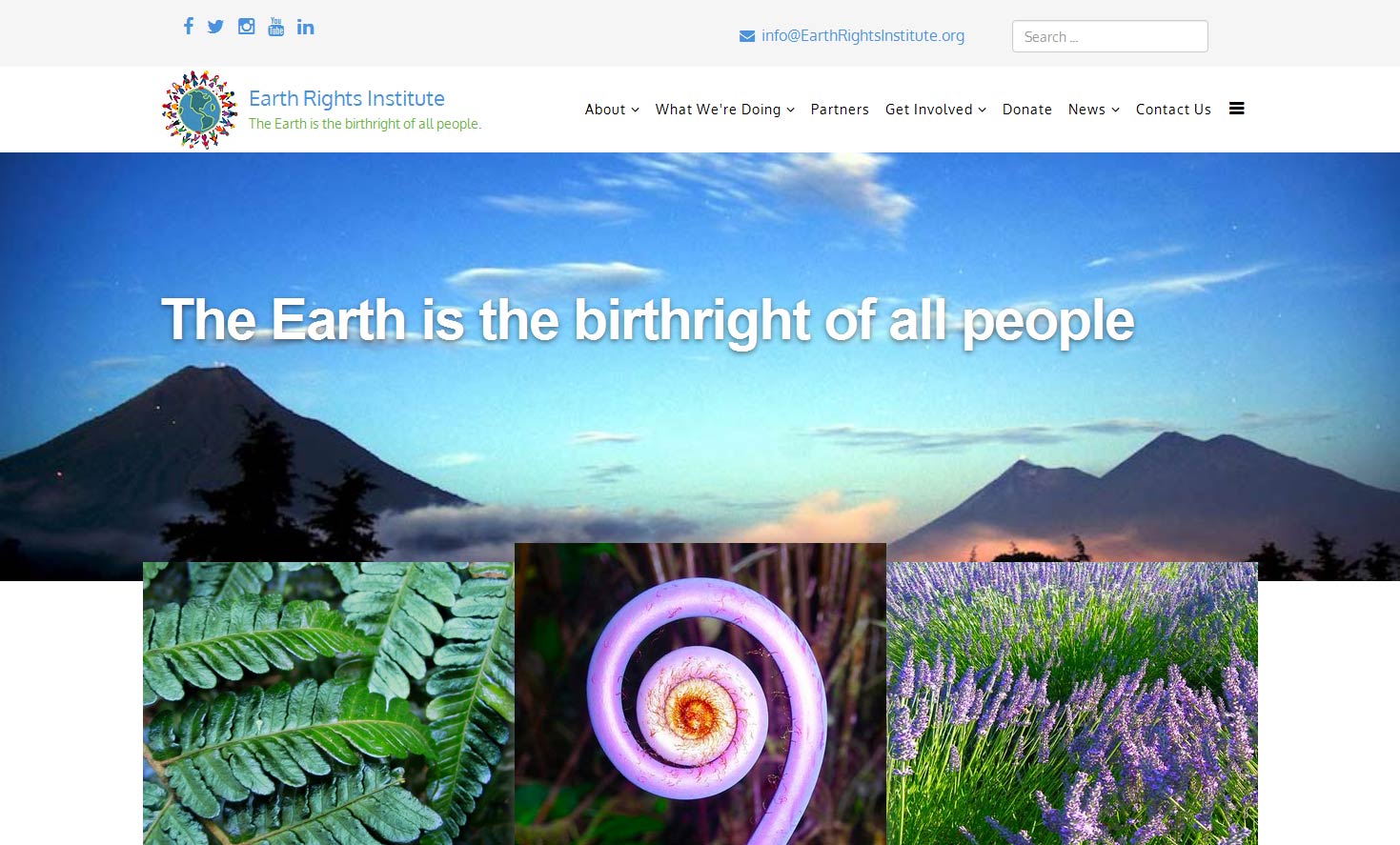 Earth Rights Institute Earth Rights Institute