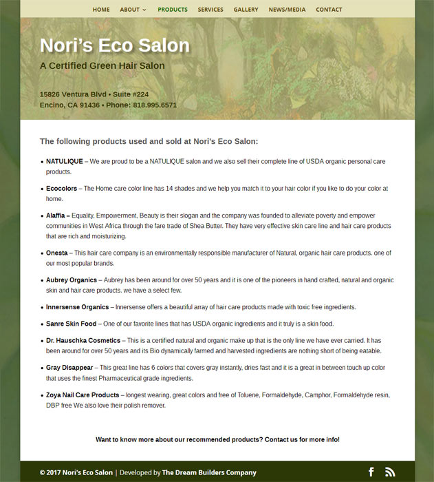 Nori's Eco Salon - Before Nori's Eco Salon - Before