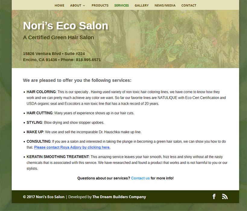 Nori's Eco Salon - Before Nori's Eco Salon - Before